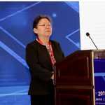 SHI Jingmin (Former Deputy Counselor Department of Equipment Industry at Ministry of Industry and Information Technology of the PRC)